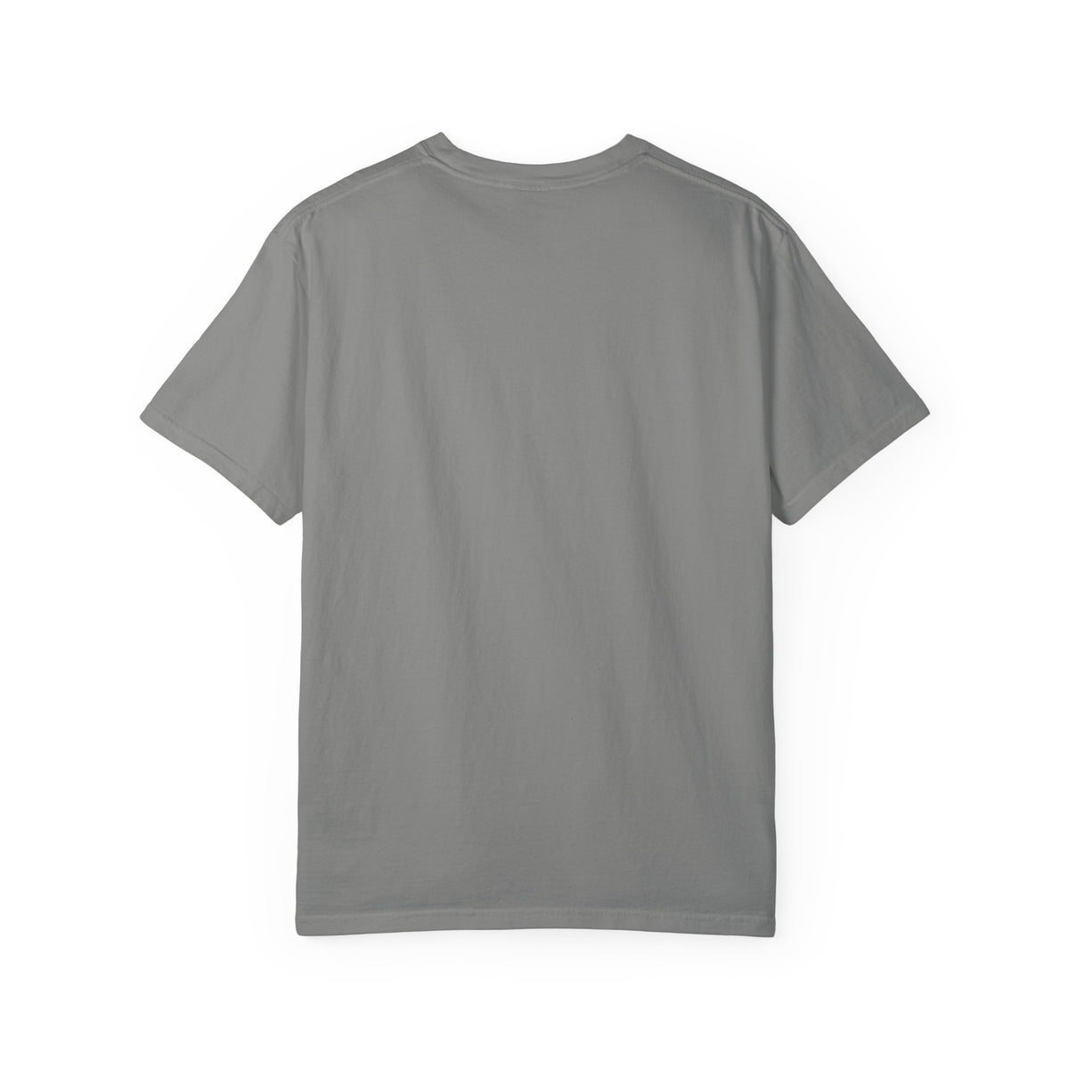 Eagles School Spirit T-Shirt — Argyle Eagles Logo Tee